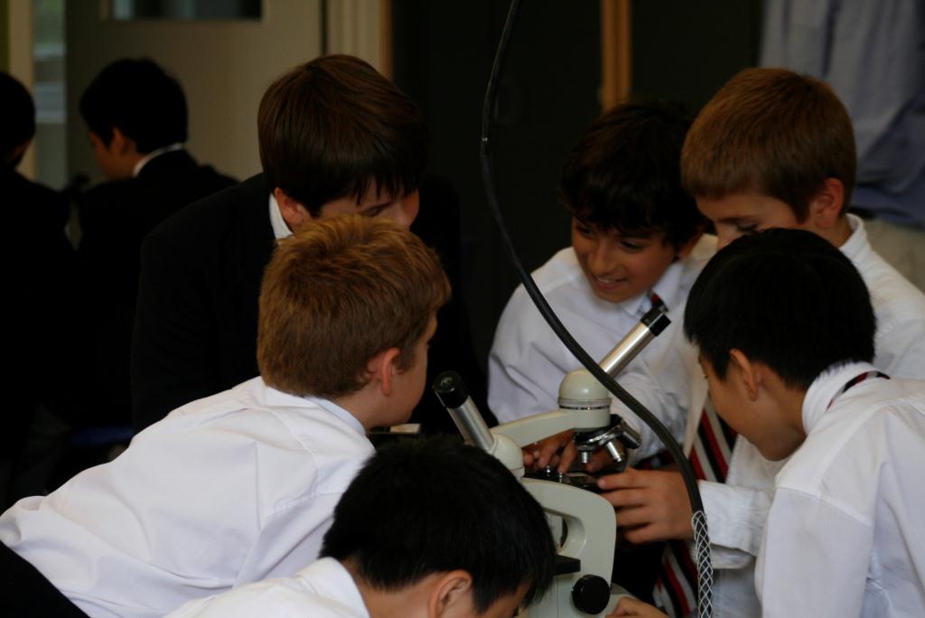 A group of grade six students examine items under a microscope