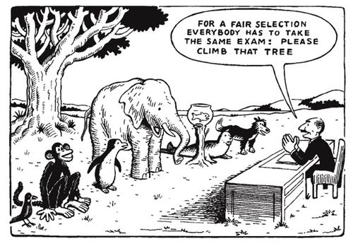 The system of assessment in this cartoon will definitely fail to recognize the abilities of the most animals here. 