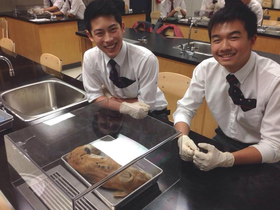 Grade 11s Matthew Leung (right) and Joshua Wang (left) wait anxiously before commencing a dissection of a fetal pig led by biology teacher Mr. Wally Mackay; as part of the curriculum in Biology 12 every year, this lab teaches students about the various systems and organs of the human body by having them examine an animal that has a similar anatomy to humans.