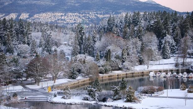 Stanley Park in January 2011. There is a high possibility of snowfall in Vancouver this week. (Silent Observer/Flickr) 