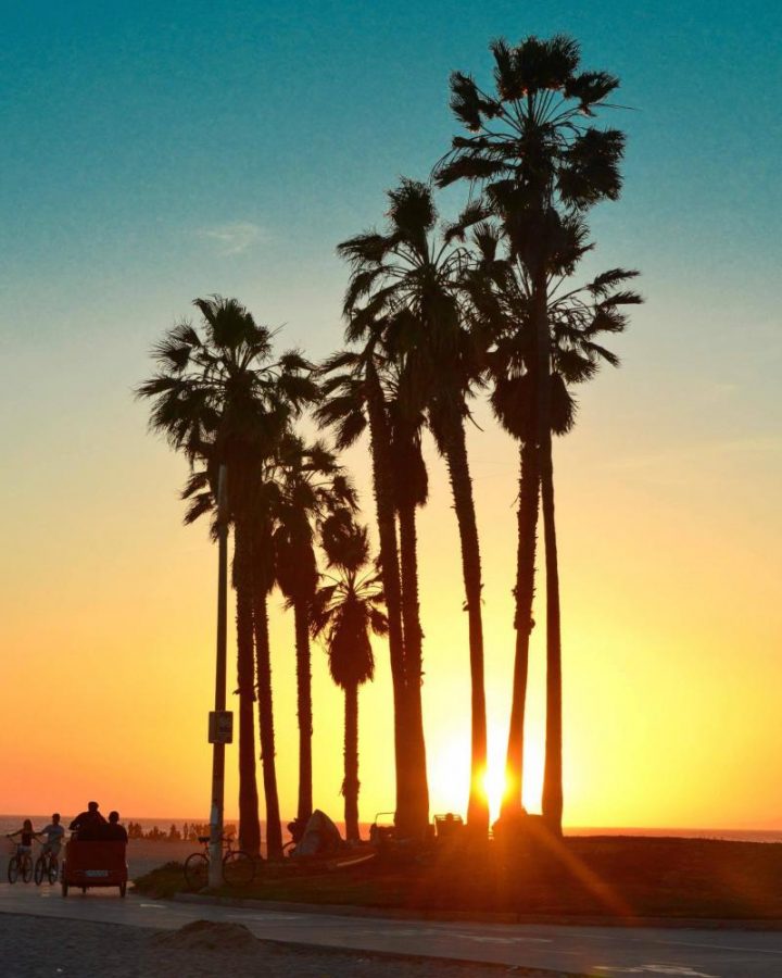 Independent Creative Ryan Sangha, founder at  Westcoastshoots captures Venice Beach, Los Angeles 
