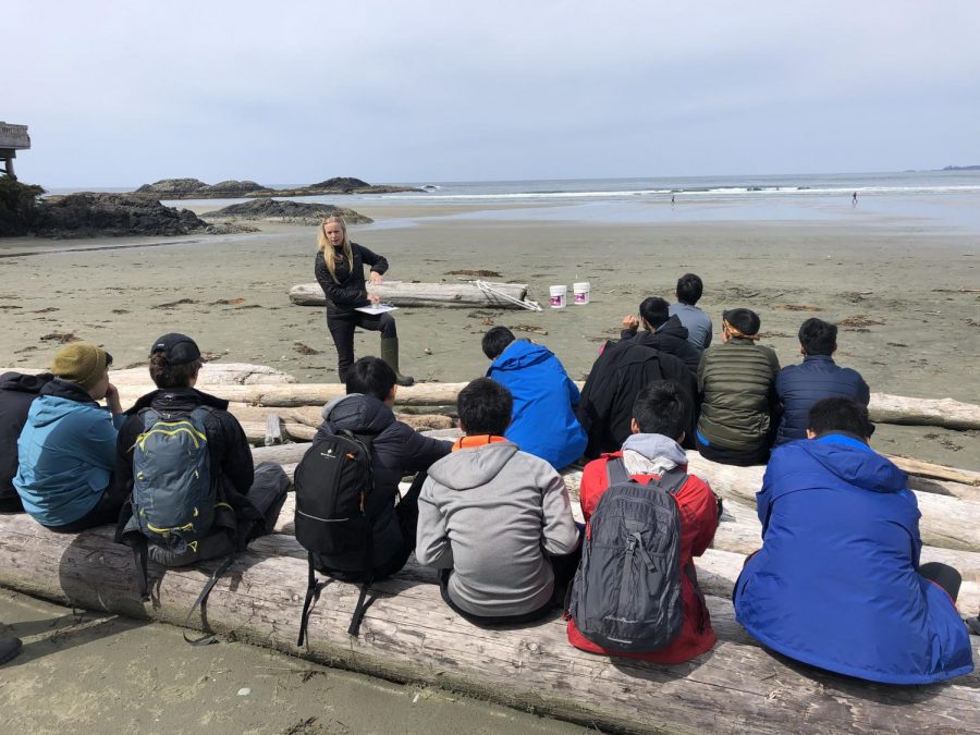 Beach Cleanup