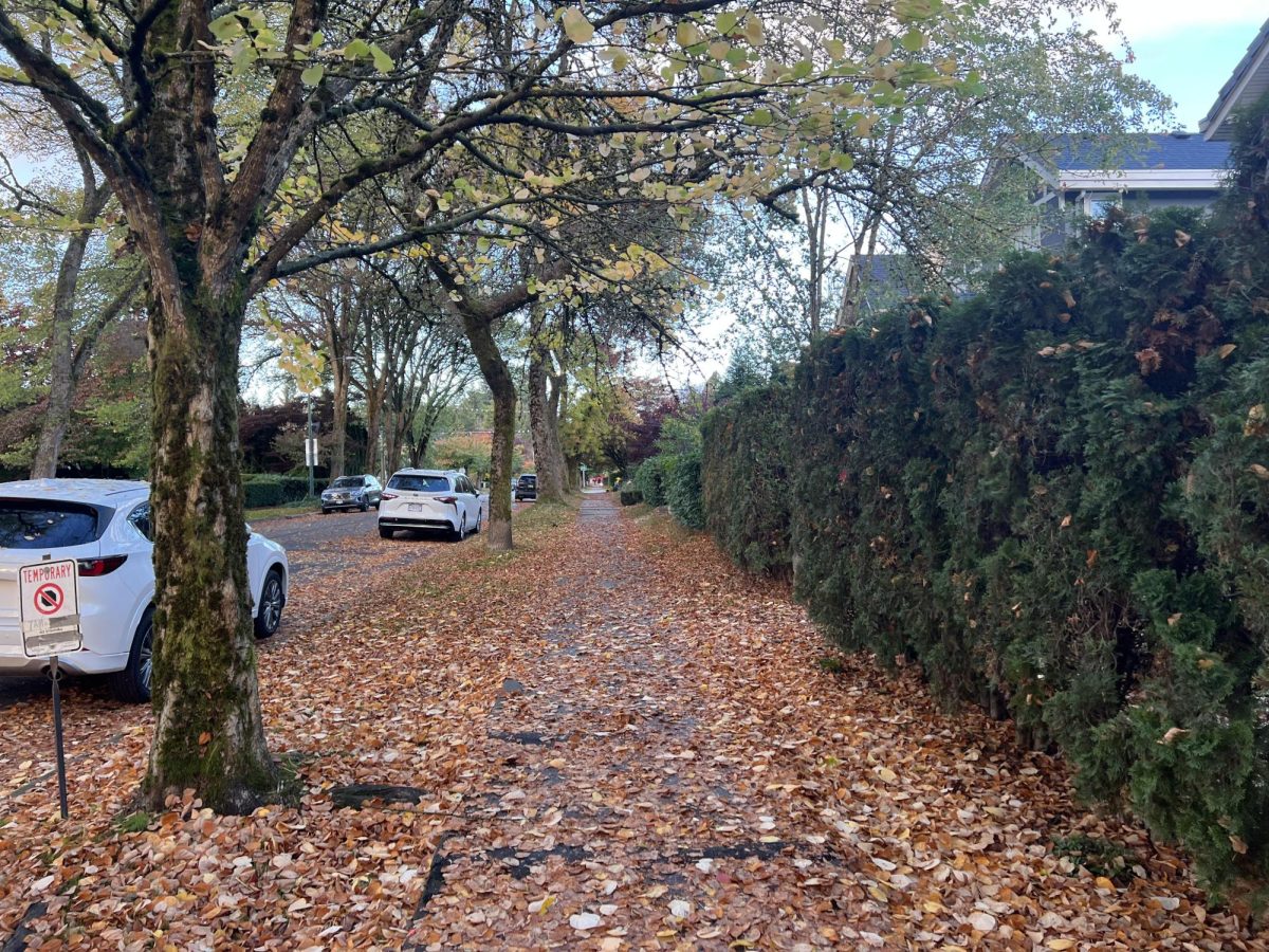 Walk from Harkerhall to Senior School