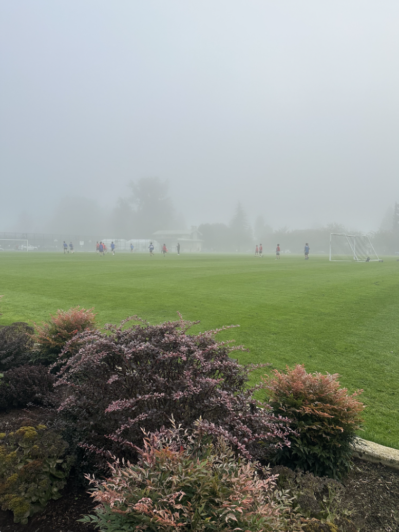 Through the Fog