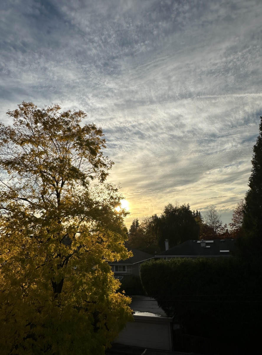 Golden Hour Magic to Cap Off the Week
